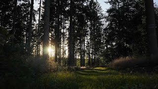 Frédéric Chopin: Berceuse in D Flat Major, Op. 57 (with sheet music) - Phil Gollub I piano  screenshot 4