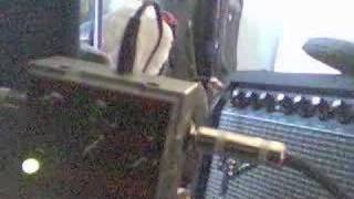 LINE 6 UBER METAL TEST/DEMO LINE 6 UBER METAL TEST/DEMO