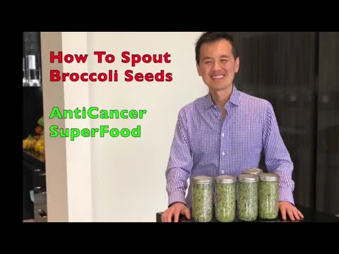 Como Sprout Broccoli Seeds