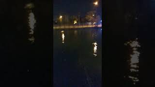 Gesi Bağlarında Dolanıyorum