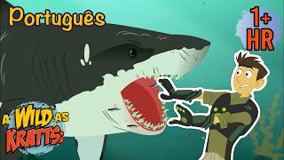 Os Grandes Tubarões Brancos | Aventuras com os Kratt