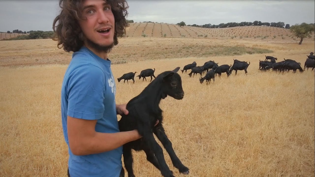 La vida del PASTOR  || Cómo ser AUTOSUFICIENTE y vivir en el campo