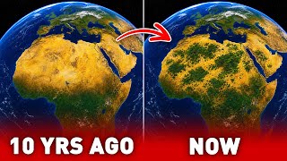 2026 UPDATE: Parts of the Sahara Are Alive Again — Here’s What It Means
