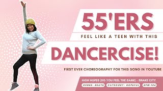 Dancercise High Hopes By Snake City