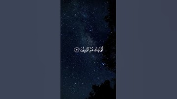 الذين يرثون الفردوس خالدين | تلاوة خاشعة ماهر المعيقلي