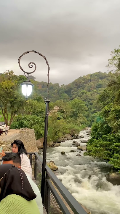 Taragak Pulang. Lagu Minang #trending