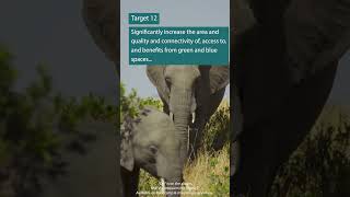 23 Targets to Prevent a 6th Mass Extinction (Part 7 - Targets 11-12)