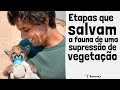 COMO SÃO SALVOS OS ANIMAIS DE UMA SUPRESSÃO DE VEGETAÇÃO