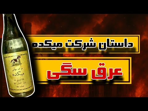 داستان عجیب شرکت میکده قزوین | عرق سگی از تولد تا سقوط