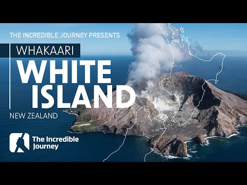 Recognising the Warning Signs: White Island Volcanic Disaster