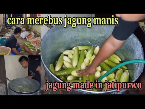 Cara Kukus Jagung Cameron