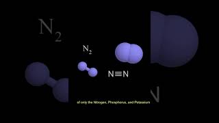 Runoff Test Full Video
