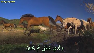 صوت يأخذك إلى عالم ثاني🔹 أروع حالت واتساب قرآن كريم 🔹