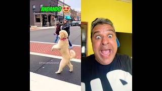 “VC VAI LEVAR EM QUAL?”😱 #meme #dublagem #humor #shorts #funny #comedy #memes #dublagemdeboche