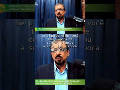 Ouro verde: em tempos difíceis, florestas são estabilidade! 🪙🌳