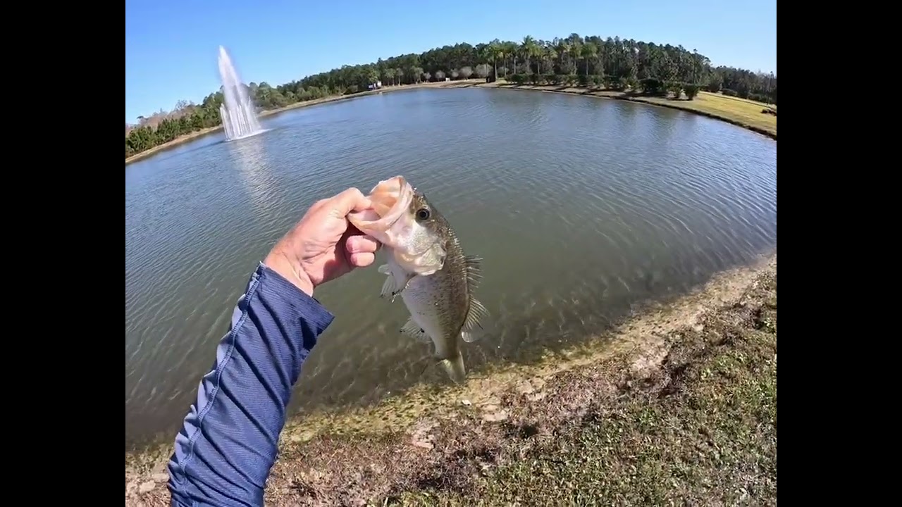 Daytona Beach Bass Fishing 12/20/25