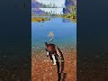 NEW deino animation ! -The Isle Evrima Maiasaura#theisle #theislegameplay #theisleevrima #maiasaura