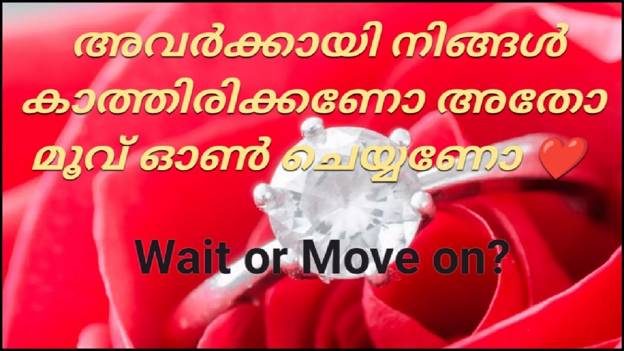 ♦️നിങ്ങൾ ഈ റിലേഷനിൽ തുടരണോ അതോ മൂവ് ഓൺ ചെയ്യണോ ♦️