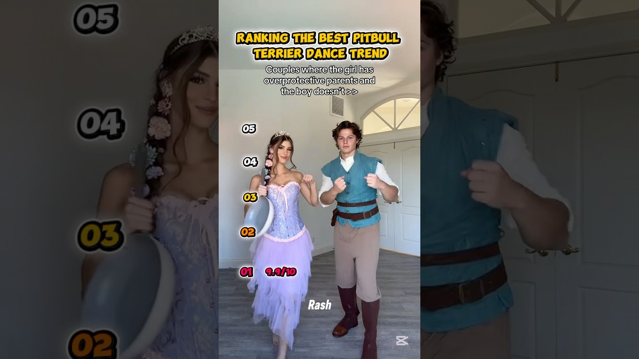 Ranking the best pitbull terrier dance vedios 🥵👀 #trends #ranking #pitbullterrier #pitbull