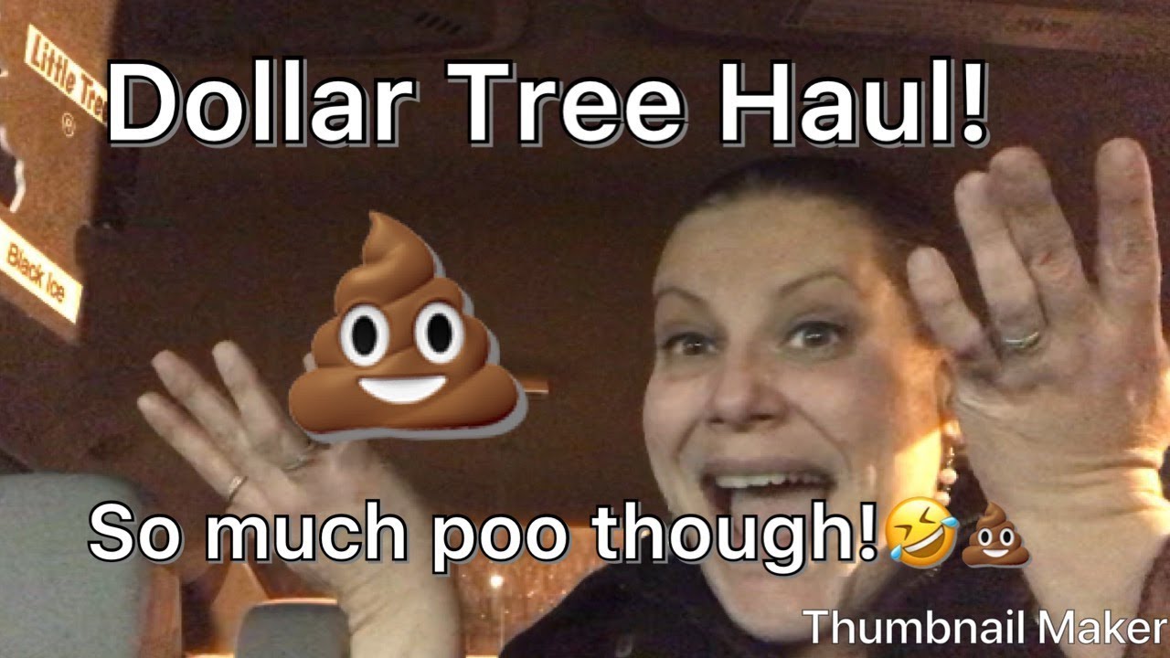 DOLLAR TREE HAUL!! 💩So much POOP!?!?!? 💩🤣 YouTube