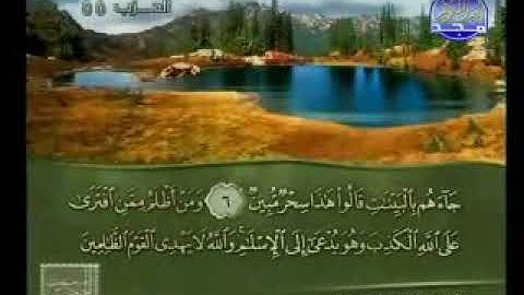سورة الصف الشيخ أحمد تميم المراغي