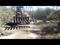 Knocking down almond trees with wheel loader