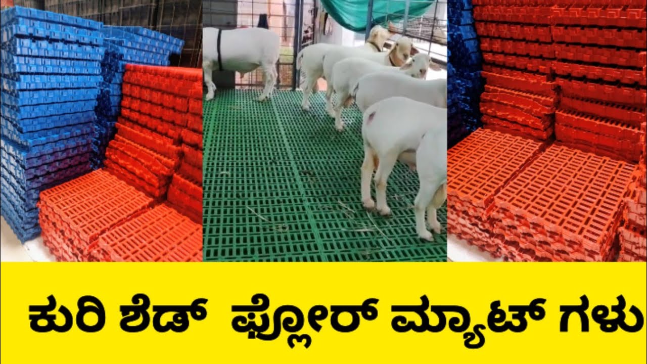 ಹೋಲ್ಸೇಲ್ ದರದಲ್ಲಿ ಕುರಿ ಶೆಡ್  ಫ್ಲೋರ್ ಮ್ಯಾಟ್ ಗಳು |    Sheep slated Mats | Sheep floor Mat |