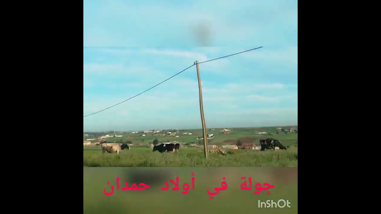 جولة اليوم مع أخ سعيد في أولاد حمدان إقليم الجديدة في حوار على زراعت قطنيات ومعانات فلاح في بادية.