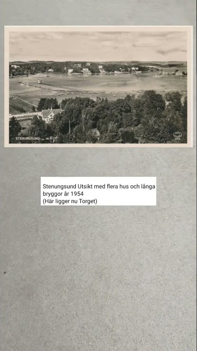 Stenungsund Utsikt med flera hus och långa bryggor år 1954 (Här ligger nu Torget)