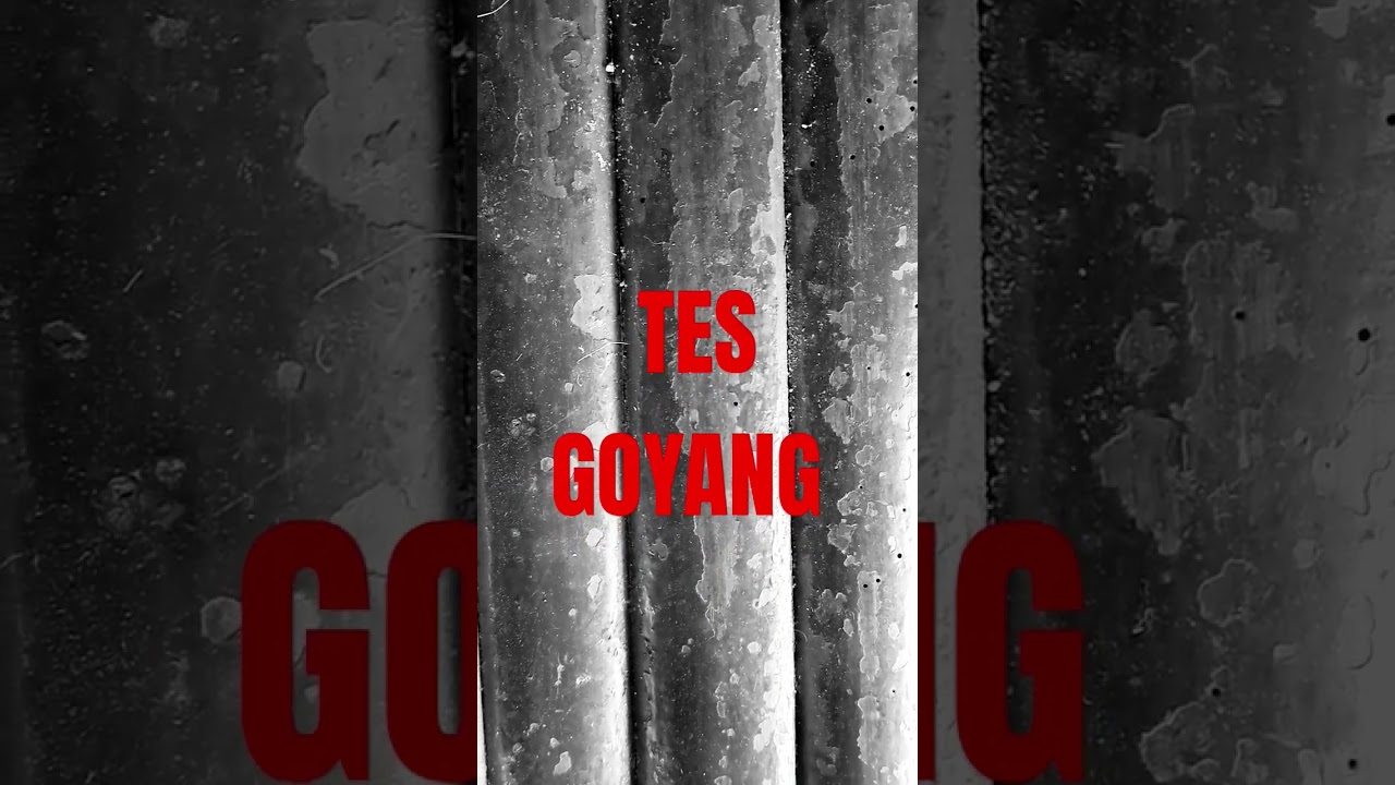 Tes Goyang