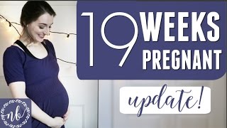 19 WEEKS PREGNANT | BIG ANNOUNCEMENT!