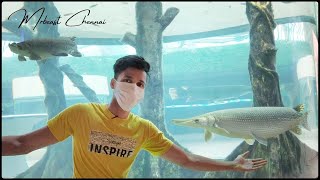 VGP Marine Kingdom Chennai   Full version on Point Of view Shot |தமிழ்✅