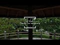 【脳休息brain break】rain 3時間（3 hours）雨音で深い眠りについてください（イヤホン・ヘッドホン推奨）ASMR