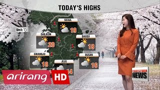 Rain in many parts in morning hours