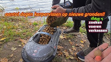 Aantal dagen karpervissen op nieuwe gronden!! Zoeken,voeren,verkassen..