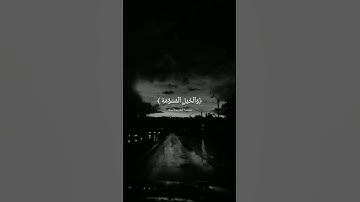 زُين للناس حب الشهوات سورة ال عمران بصوت الشيخ عبدالرحمن مسعد