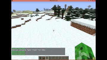 Bukkit plugin coding tutorial -2- Adding commands.
