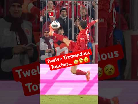 1️⃣2️⃣ Touches of Magic 🪄🎄