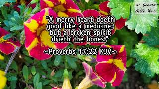 Proverbs 17:22 kjv