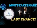 Mint Stake Share Last Chance!