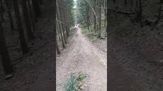 Brian, Stéph, Montée Enduro Ardennes