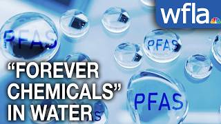 Temple Terrace debates options to clean "forever chemicals" out of water supply