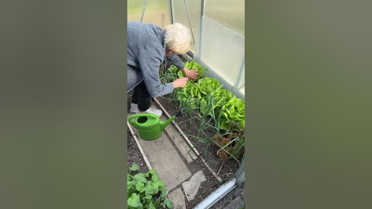 Omas Garten wächst YouTube