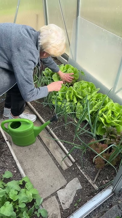 Omas Garten wächst YouTube