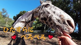 なめる Youtube