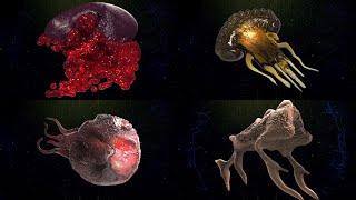 Warframe - How to get Sporulate Sac and Dendrite Blastoma good farming place