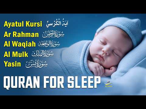 Relaxing Quran For Sleep And Your All Problems Solve | By Alaa Aqel |  Relaxing - Holy Quran
