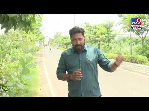 Explainer : అన్నవరం కొండపై బకాయిల గుట్టు రట్టు...టీవీ9 కథనంతో కదిలిన యంత్రాంగం - TV9 - TV9