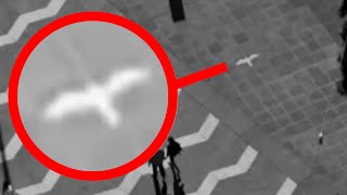 Teleportation Caught on CCTV Camera - Bird Disappears Caught on Tape