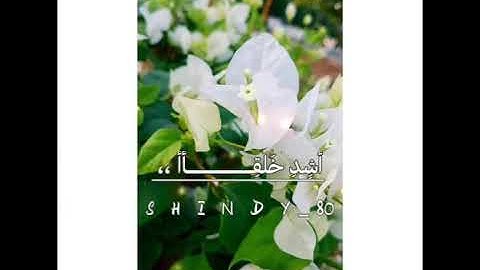 حاله واتساب القارئ انس براق ما تيسر من سوره النازعات
